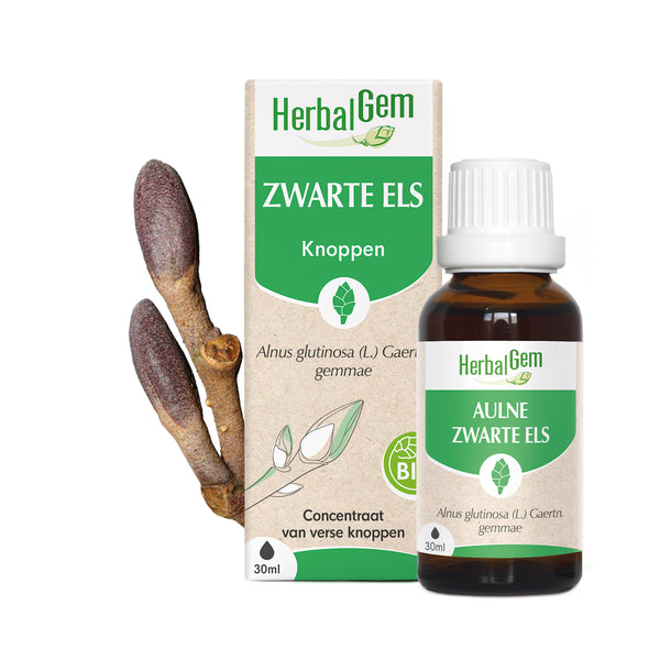 030043-nl20-moedermaceraten-zwarteels-bio-herbalgem-01.jpg
