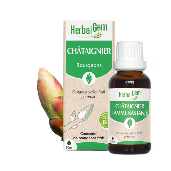 030100-fr20-maceratsmeres-chataignier-bio-herbalgem-01.jpg