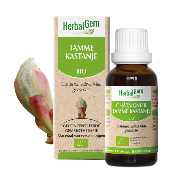 030100-nl20-moedermaceraten-kastanje-bio-herbalgem-01.jpg