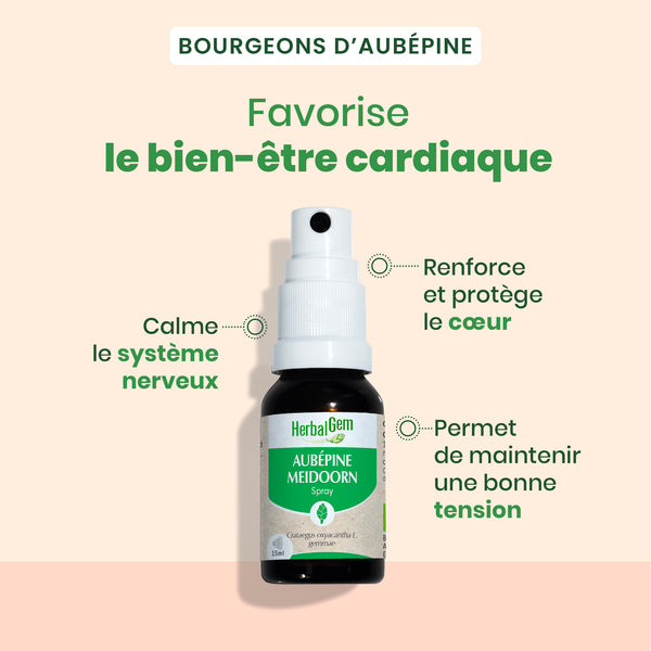030151-aubepine-spray-herbalgem-15ml-fr24-5407008641481-02.jpg