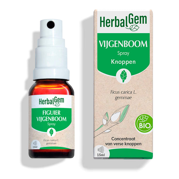 030171-figuier-spray-herbalgem-15ml-bio-nl25-5407008641504-01.jpg