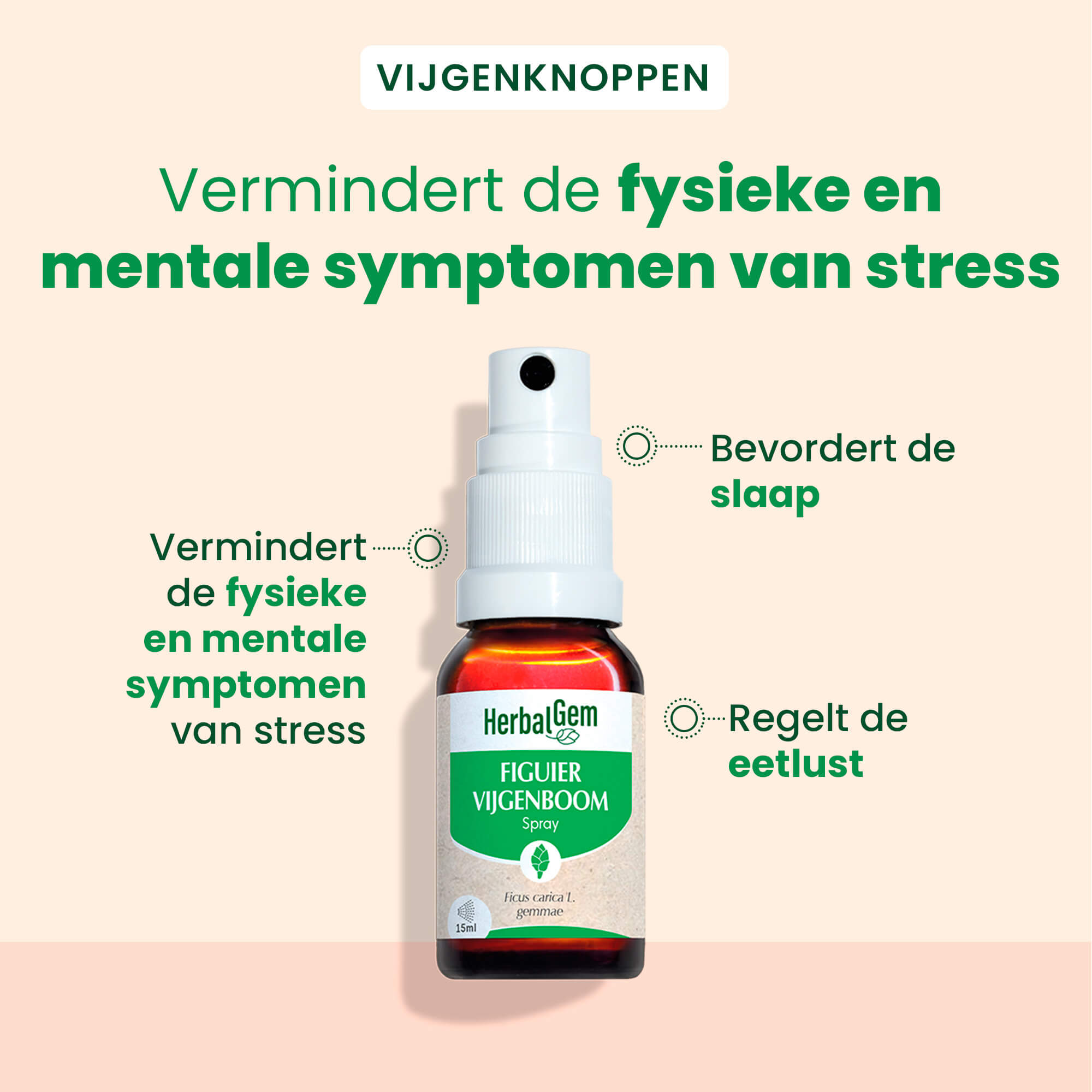 Vijgen knop - spray - Bio