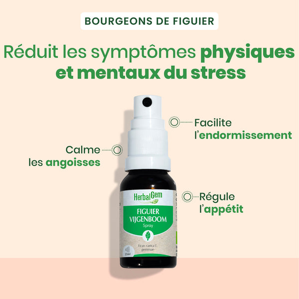 030171-figuier-spray-herbalgem-15ml-fr24-5407008641504-02.jpg