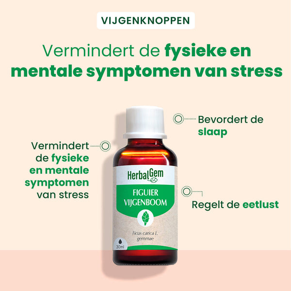 030173-figuier-herbalgem-30ml-bio-nl25-5425009101438-02.jpg