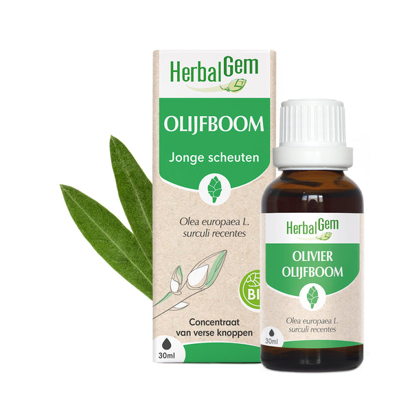 030233-nl20-moedermaceraten-olijfboom-bio-herbalgem-01.jpg
