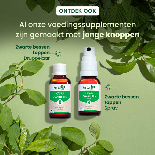 030311-cassis-spray-herbalgem-15ml-bio-nl25-5407008641498-06.jpg