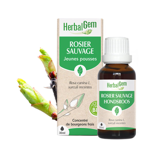 030323-fr20-maceratsmeres-rosiersauvage-bio-herbalgem-01.jpg