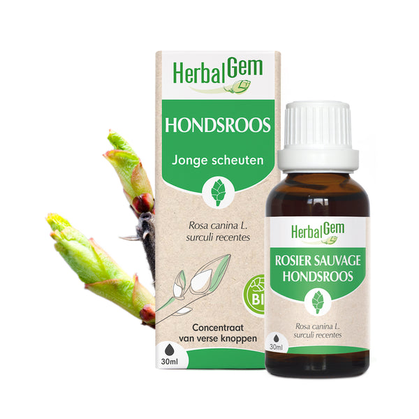 030323-nl20-moedermaceraten-hondsroos-bio-herbalgem-01.jpg