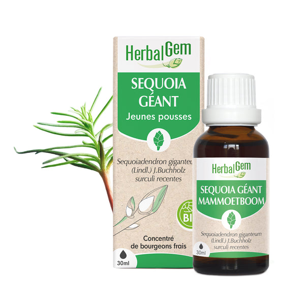 030373-fr20-maceratsmeres-sequoiageant-bio-herbalgem-01.jpg