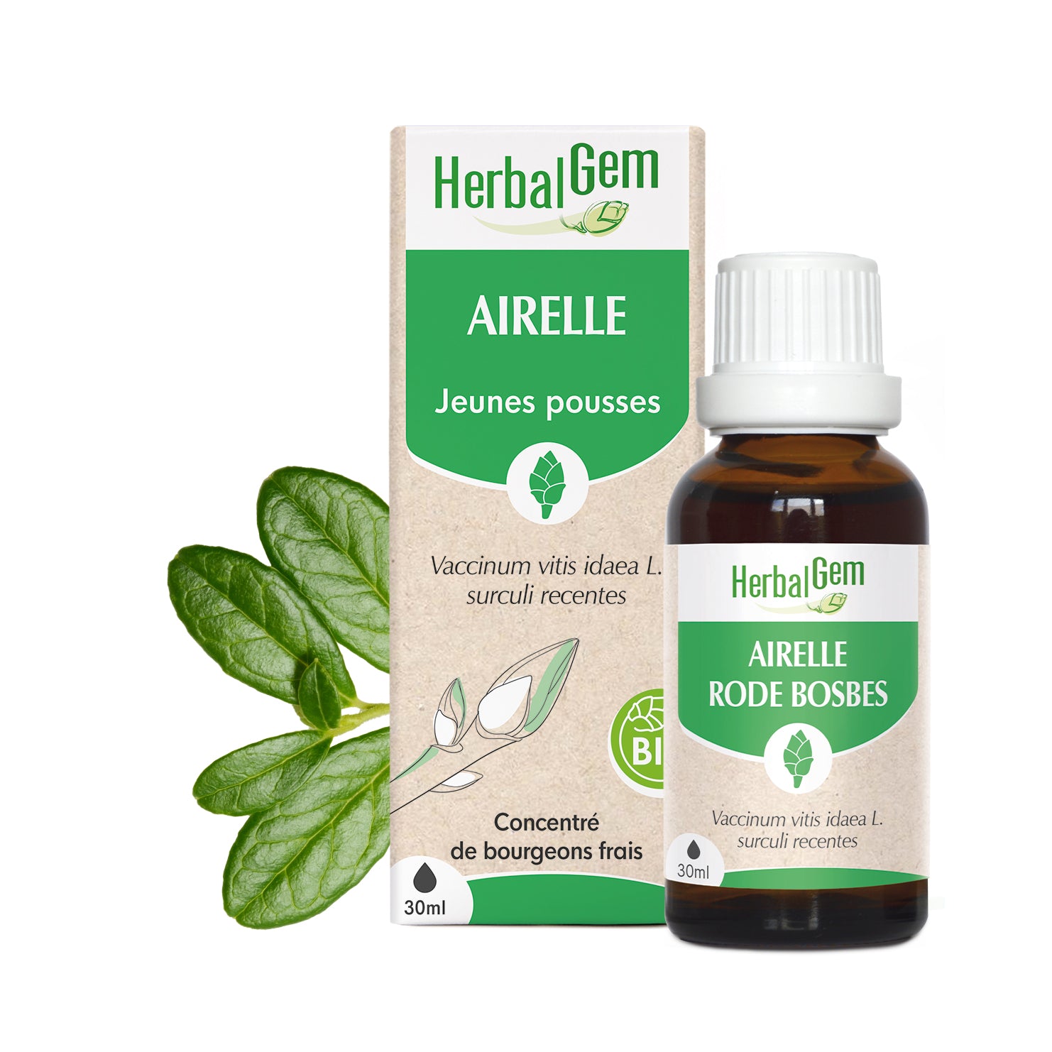 030433-fr20-maceratsmeres-airelle-bio-herbalgem-01.jpg