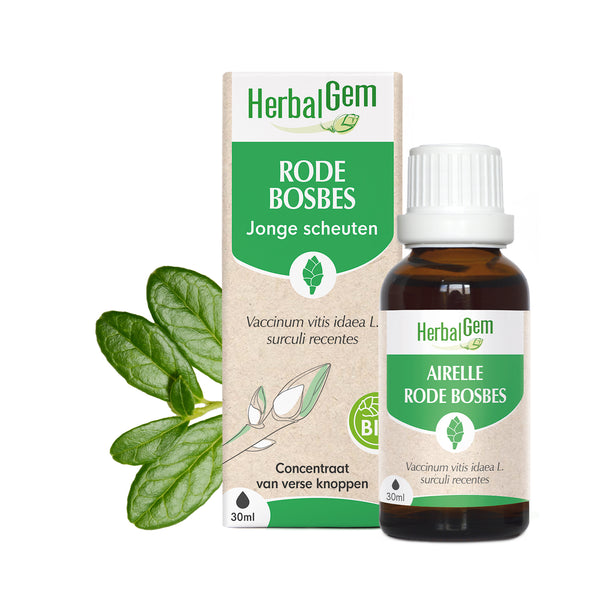 030433-nl20-moedermaceraten-rodebosbes-bio-herbalgem-01.jpg