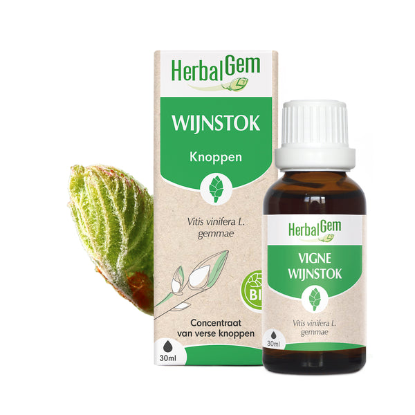 030463-nl20-moedermaceraten-wijnstok-bio-herbalgem-01.jpg