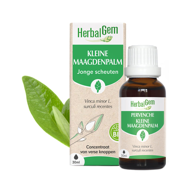 030663-nl20-moedermaceraten-kleinemaagdenpalm-bio-herbalgem-01.jpg