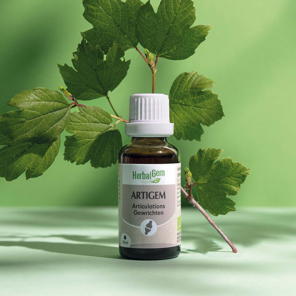 050063-artigem-herbalgem-30ml-fr23-5425009101964-02.jpg