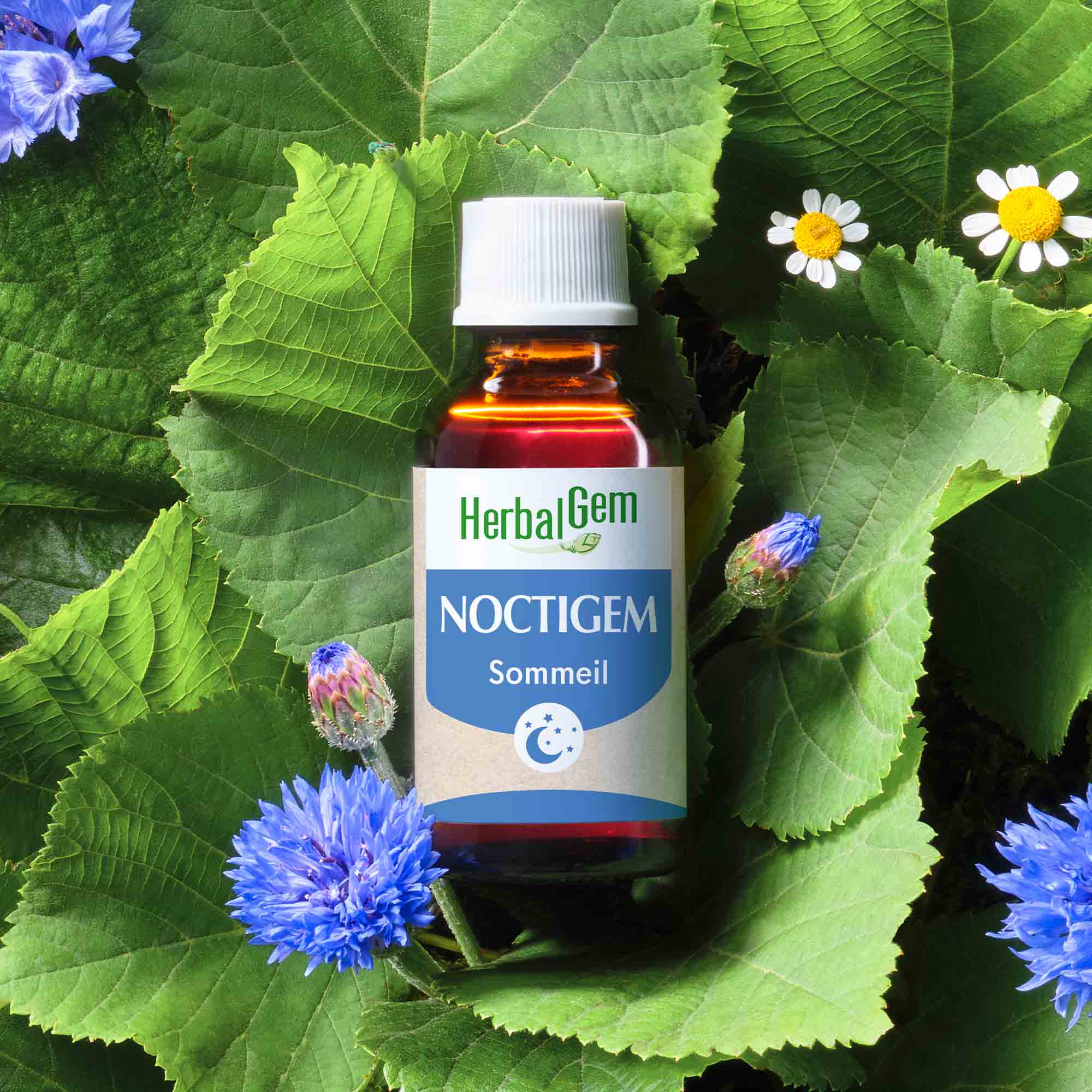 Complexe sommeil Noctigem - Bio