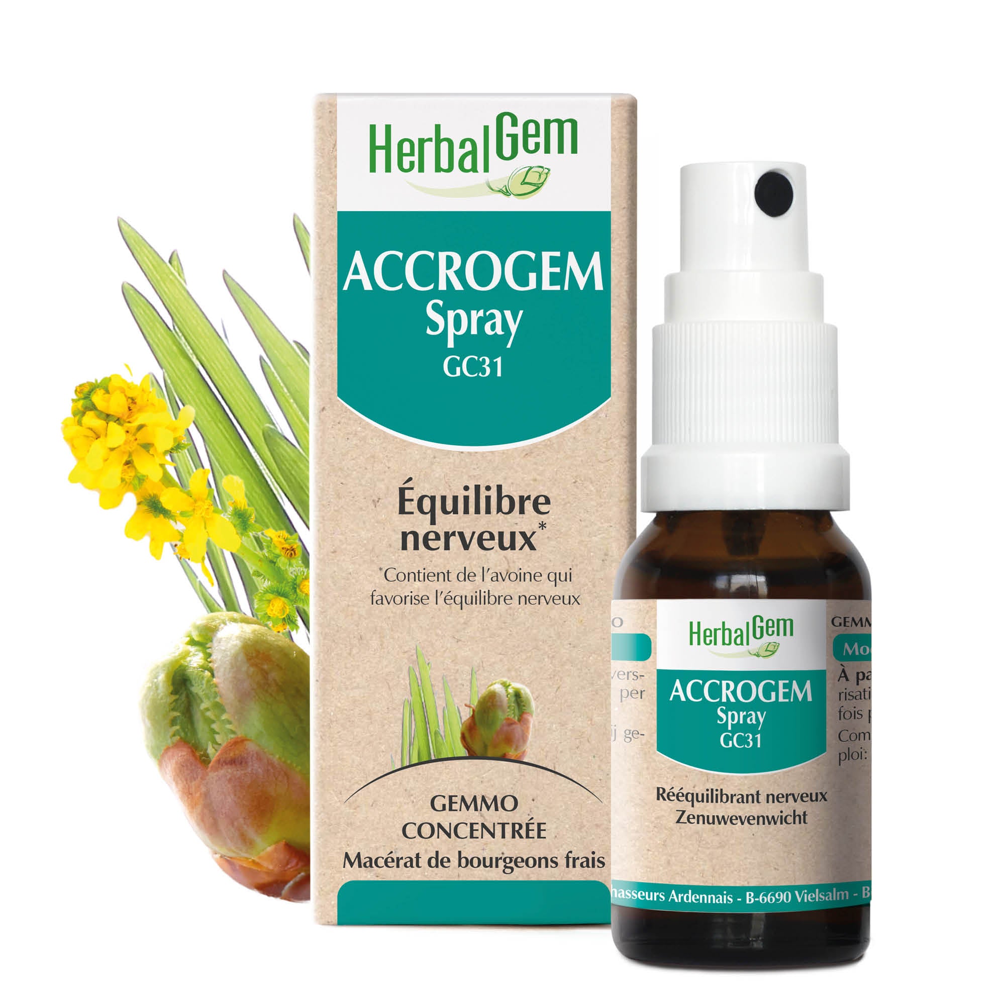 050211-fr20-complexes-accrogemspray-herbalgem-01.jpg