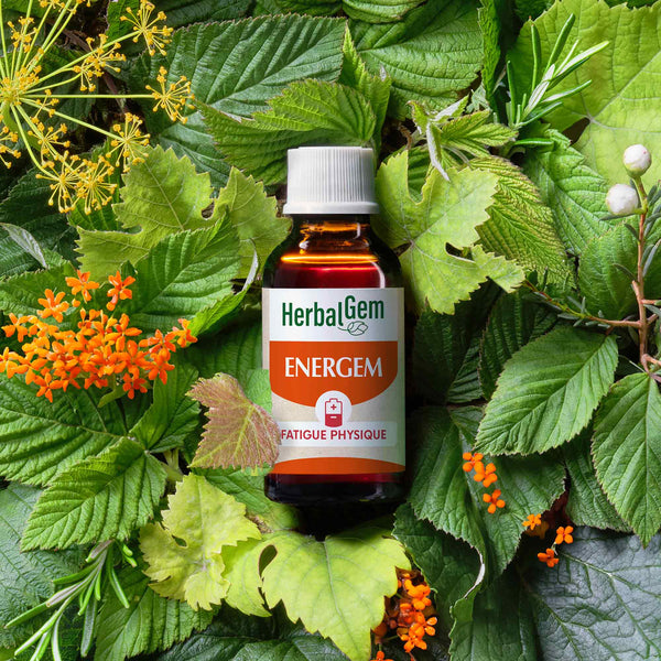 050603-energem-fatigue-physique-herbalgem-30ml-be24-5407008642983-02.jpg