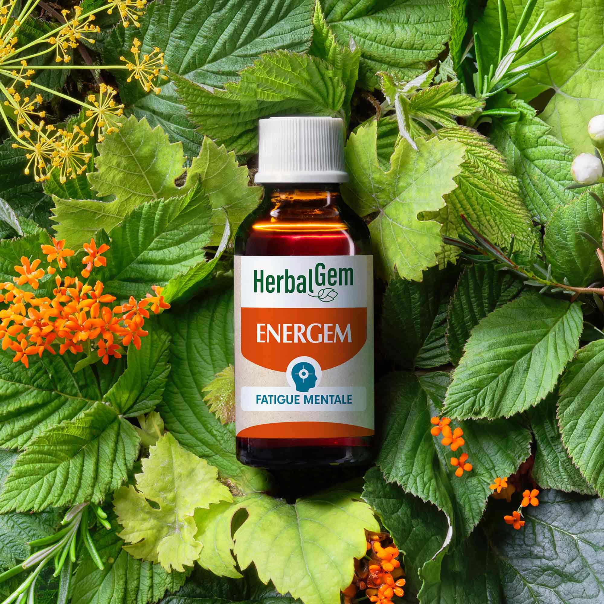 EnerGem fatigue mentale - Bio