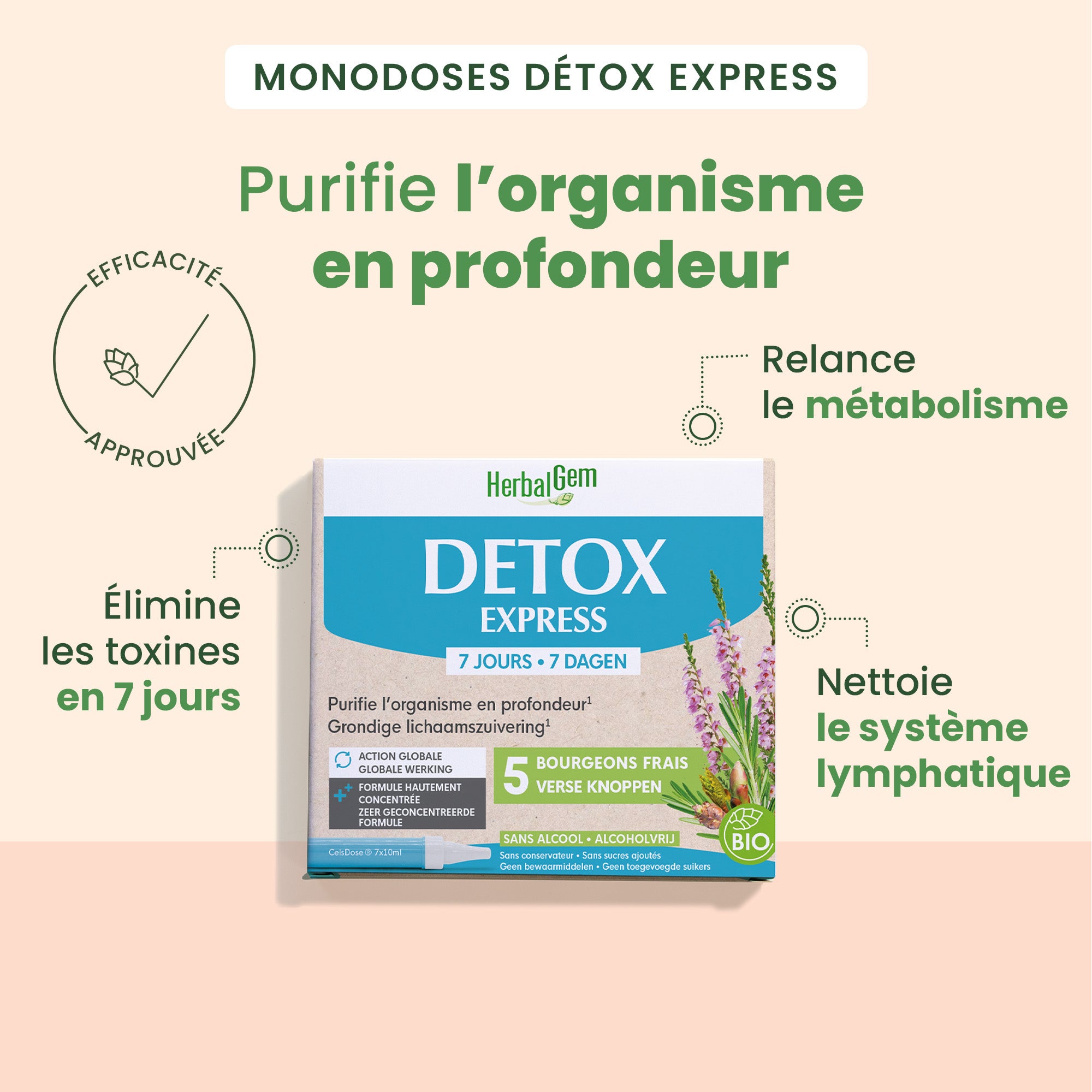 Duo pack Détox express - Bio
