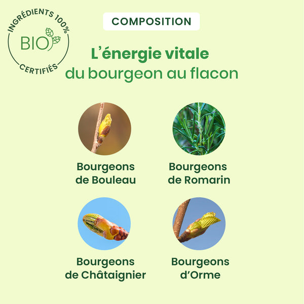 050761-detox-express-monodose-herbalgem-7x10ml-fr24-5407008641665-04.jpg