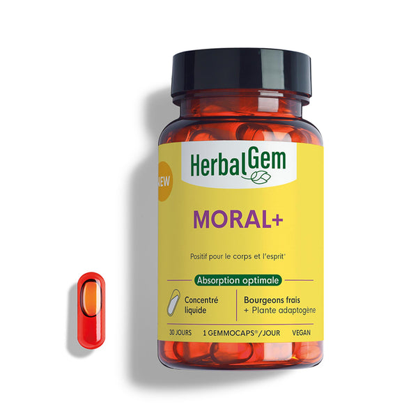 050967-gemmocaps-stress-protect-moral-herbalgem-30caps-be26-5407008643300-01.jpg