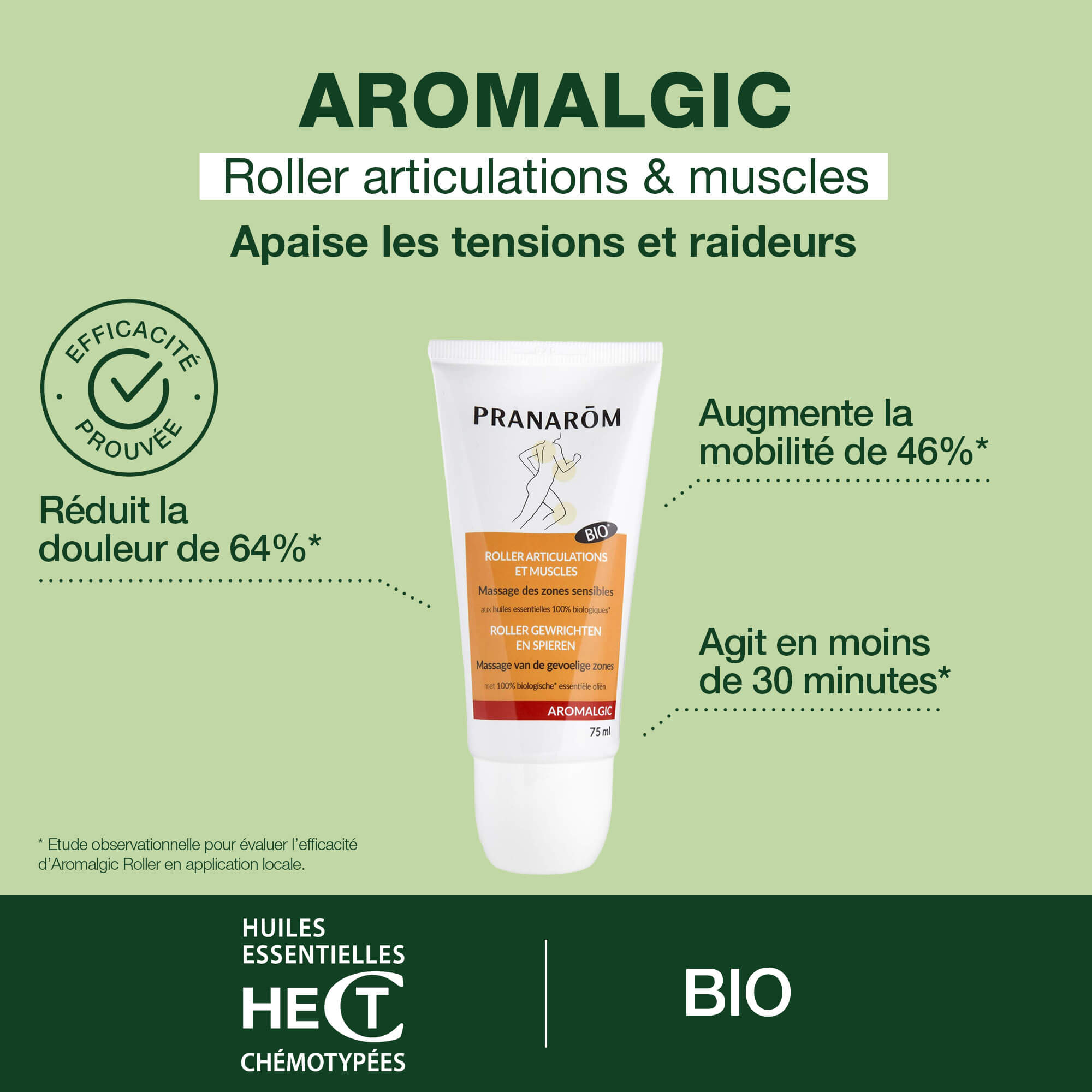 Roller articulations et muscles - Bio