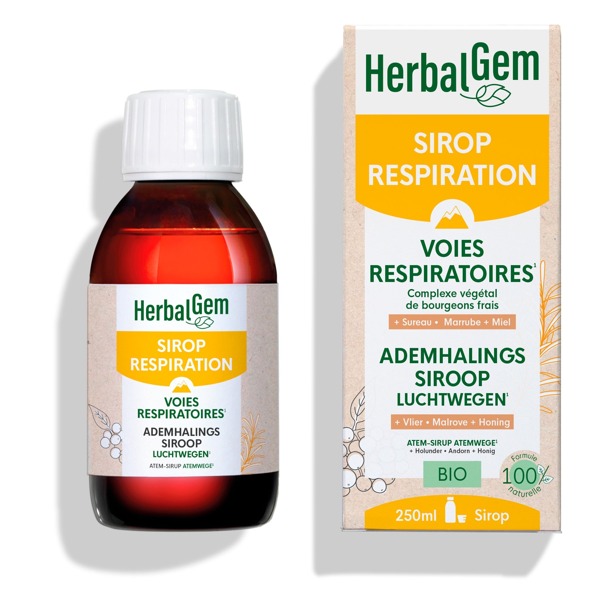 Sirop Respiration Voies respiratoires - Bio