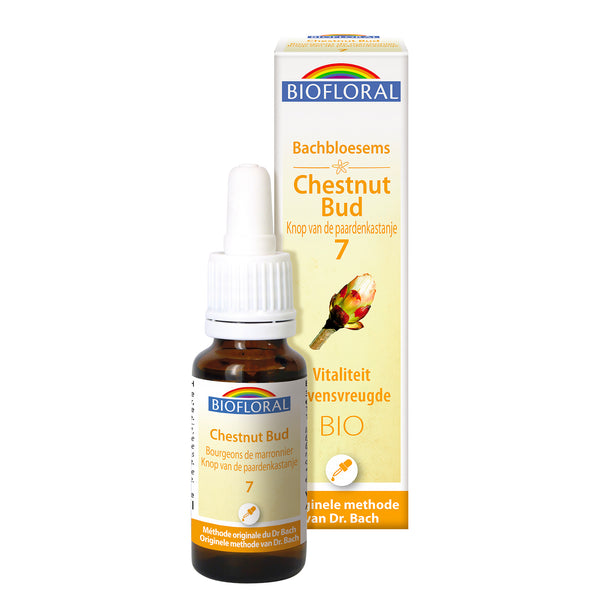 bf007-nl20-fdb-chestnutbud-cg-bio-biofloral-01.jpg