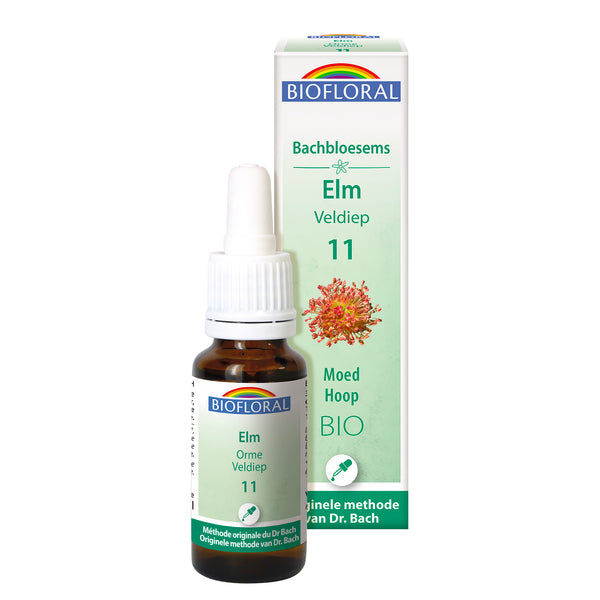 bf011-nl20-fdb-elm-cg-bio-biofloral-01.jpg