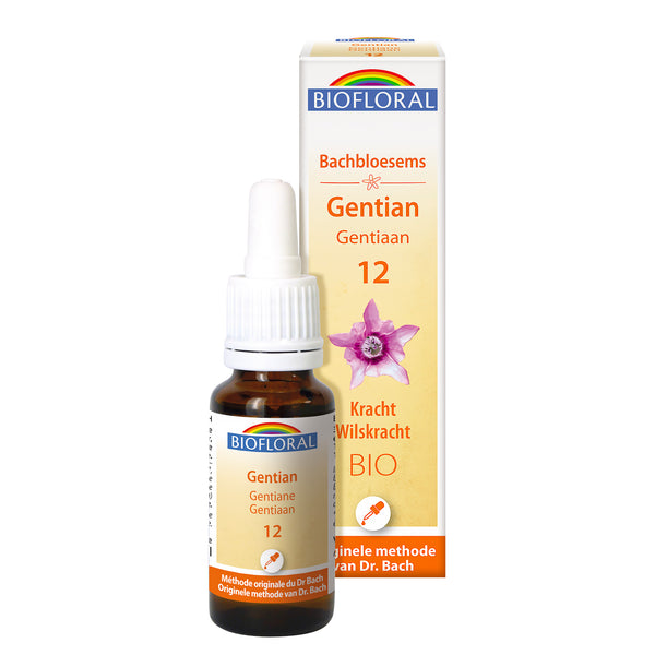 bf012-nl20-fdb-gentian-cg-bio-biofloral-01.jpg