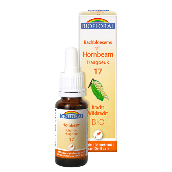 bf017-nl20-fdb-hornbeam-cg-bio-biofloral-01.jpg