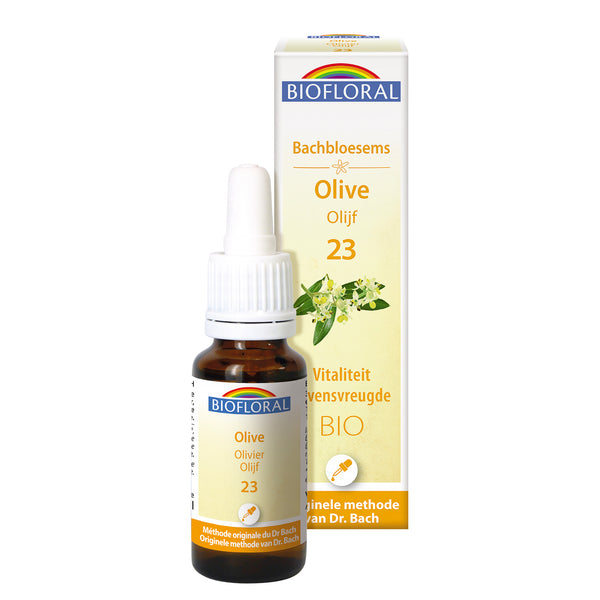 bf023-nl20-fdb-olive-cg-bio-biofloral-01.jpg