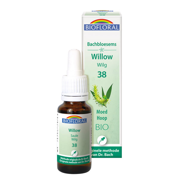 bf038-nl20-fdb-willow-cg-bio-biofloral-01.jpg