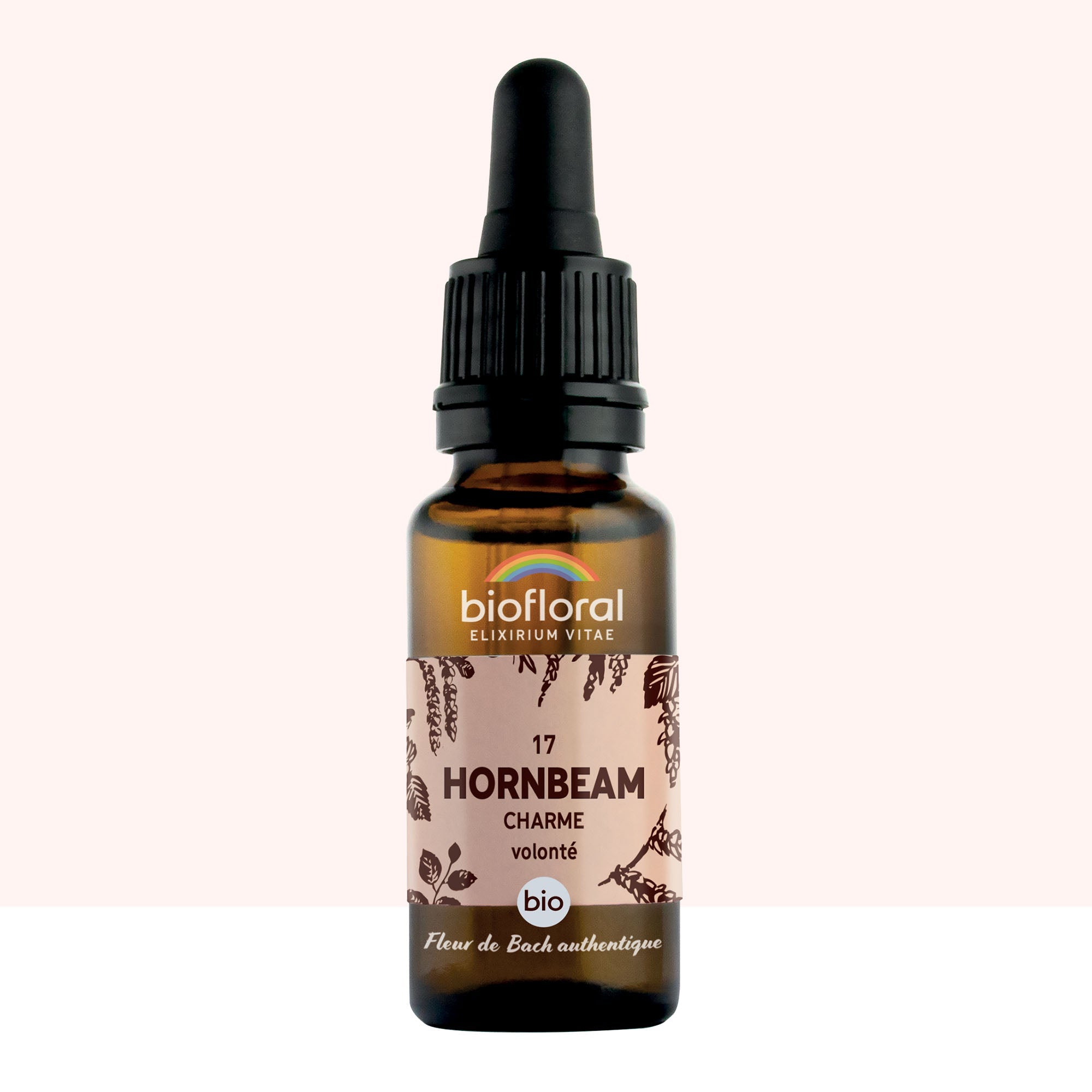 17 - Hornbeam - Haagbeuk - Bio - Bio Demeter