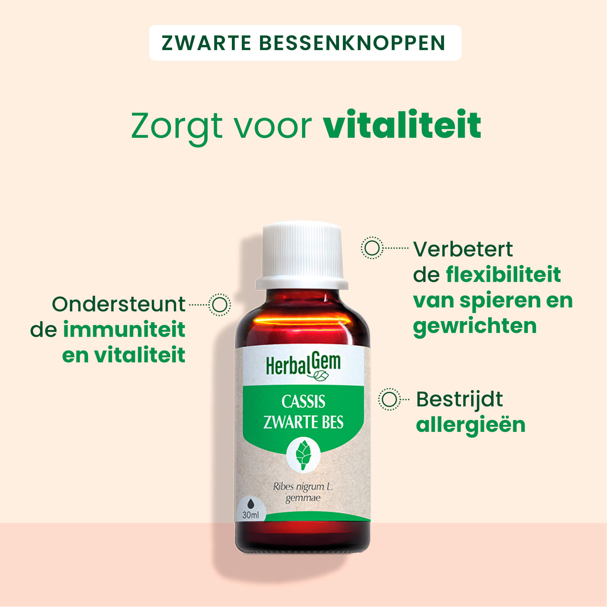 Zwarte bessen knop - Bio