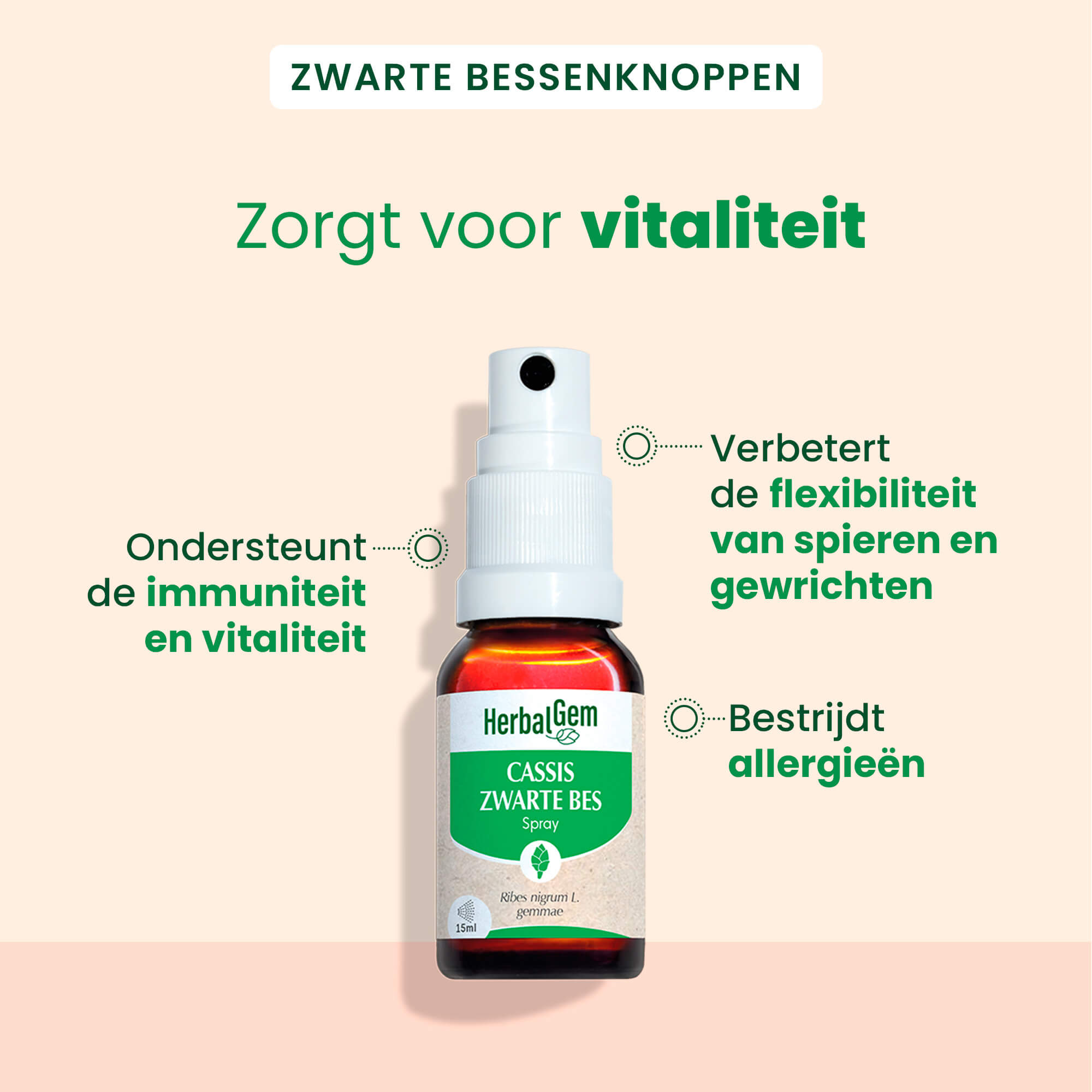 Zwarte bessenknop - spuitformaat - Bio