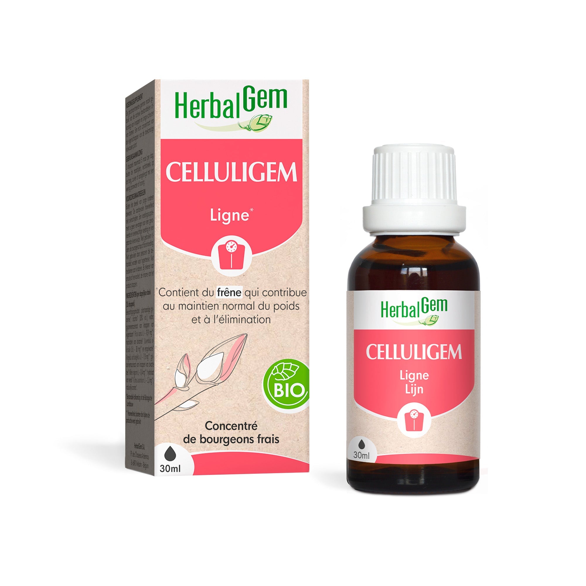 CELLULIGEM - Bio - Bio