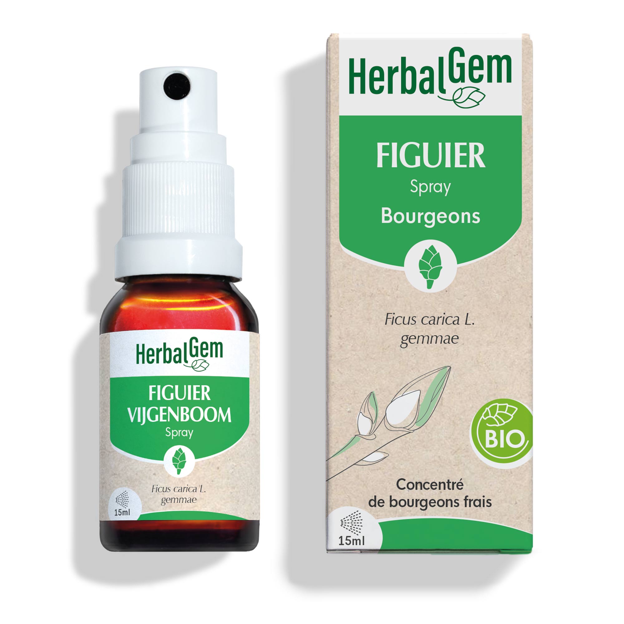 Bourgeon de Figuier - spray - Bio