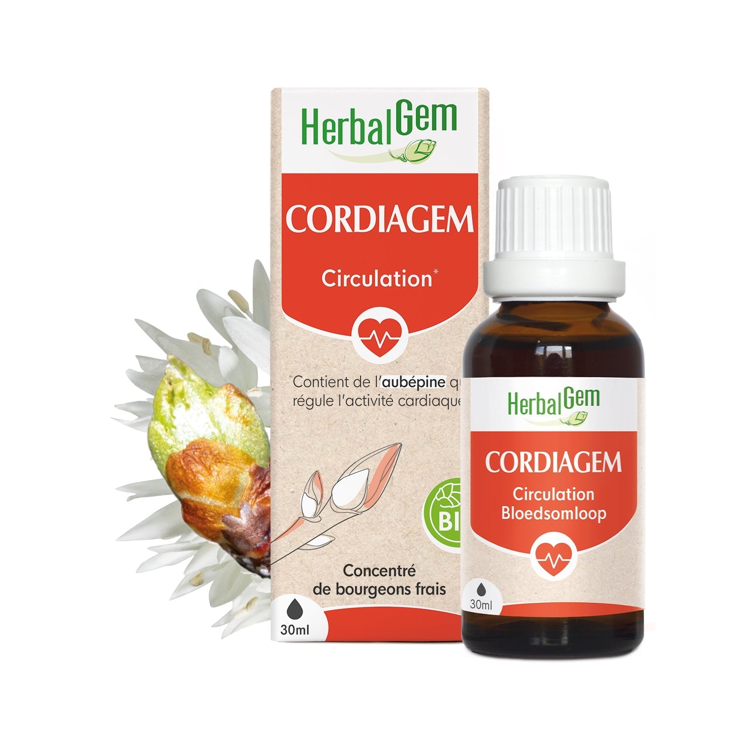 CORDIAGEM - Bio