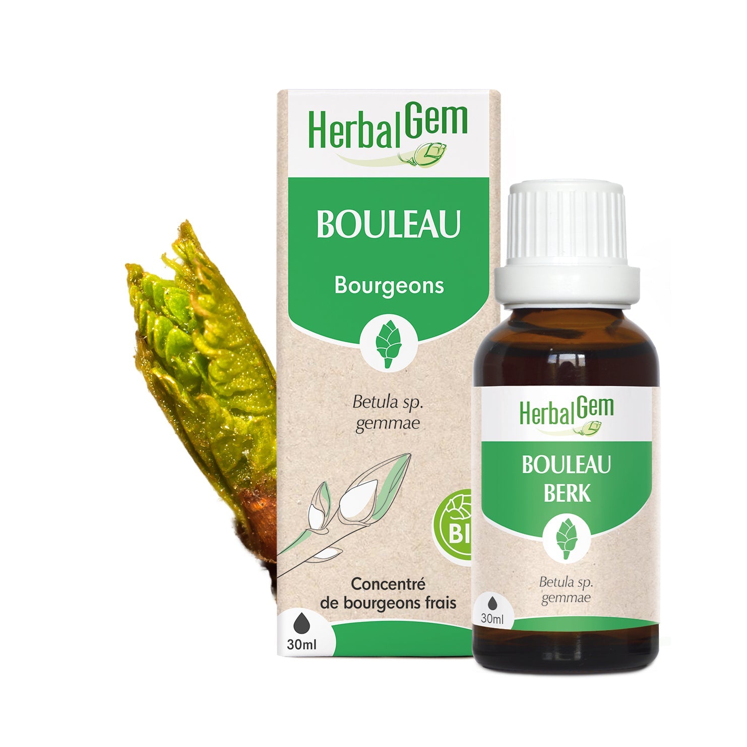 BERK - Bio - Bio