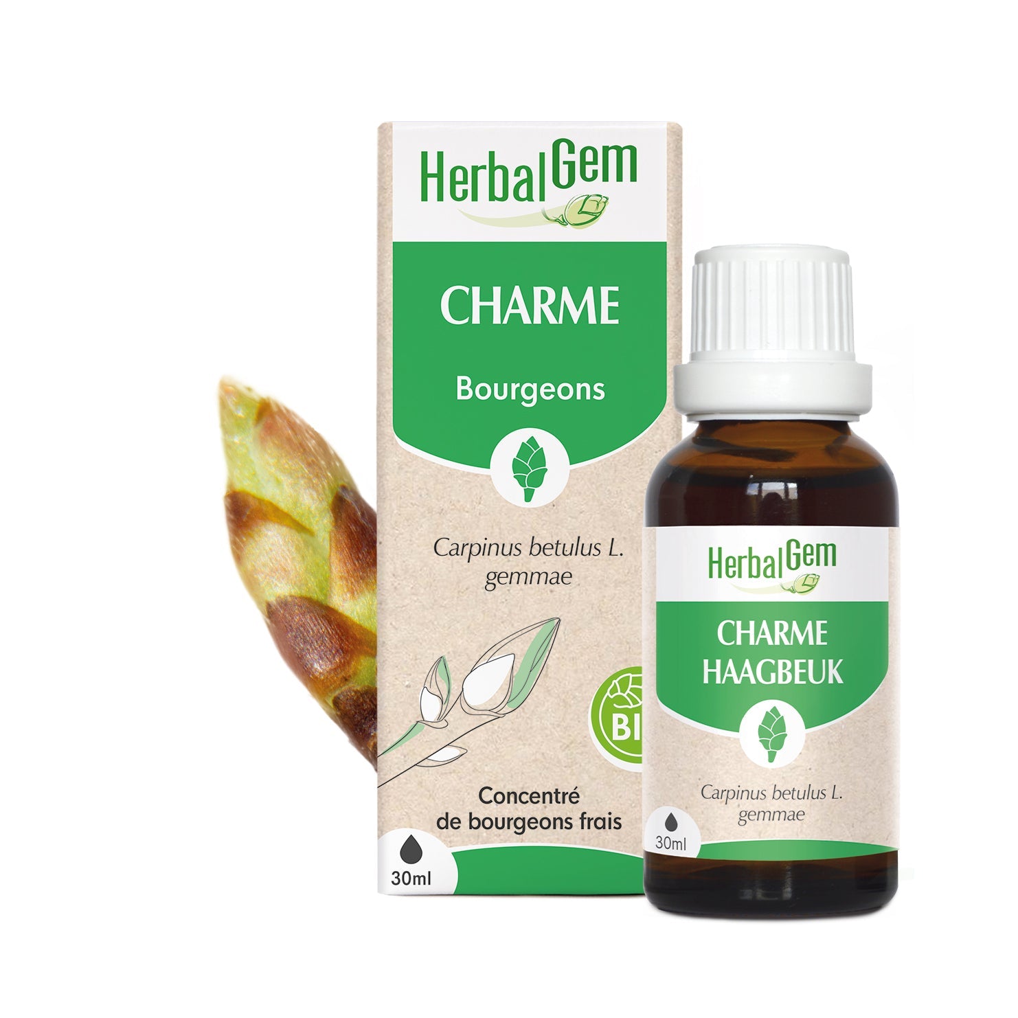 Bourgeon de Charme - Bio