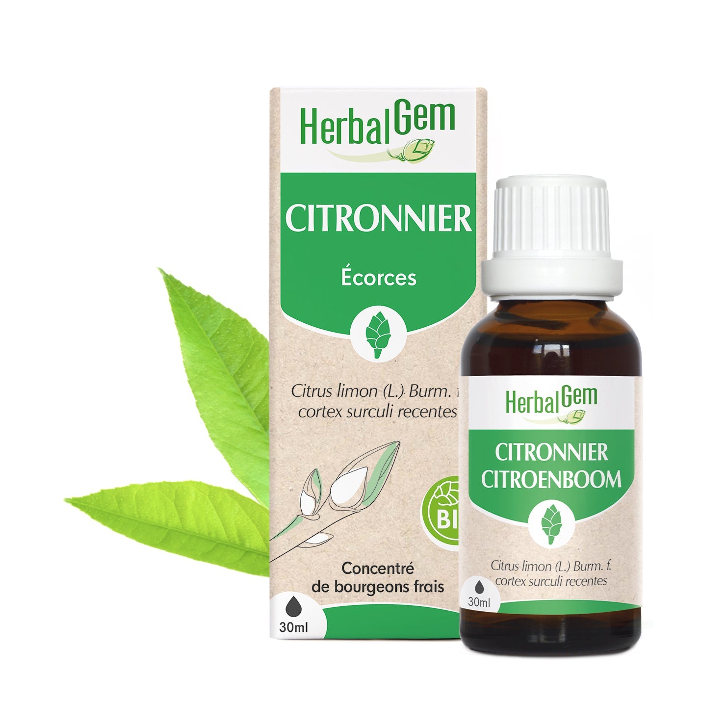 Bourgeon de Citronnier - Bio