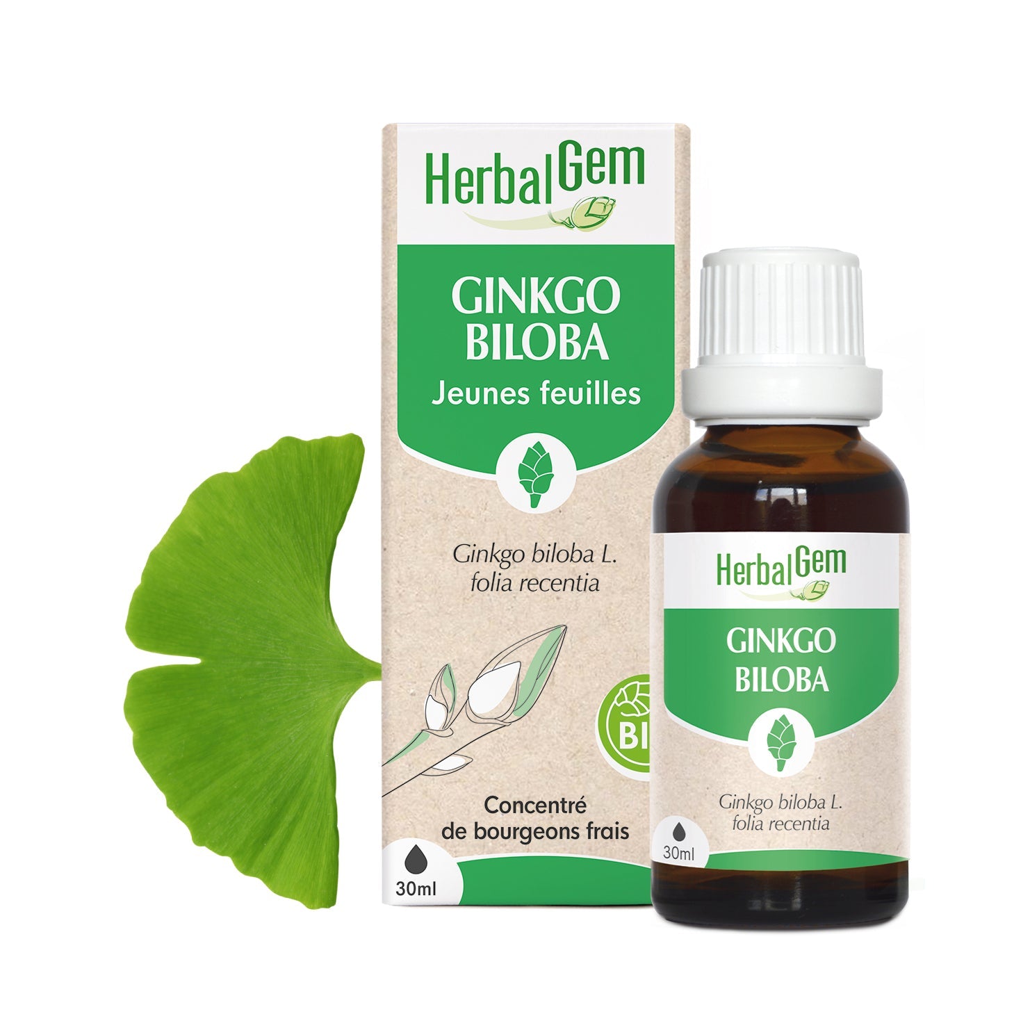 GINKGO BILOBA - Bio - Bio