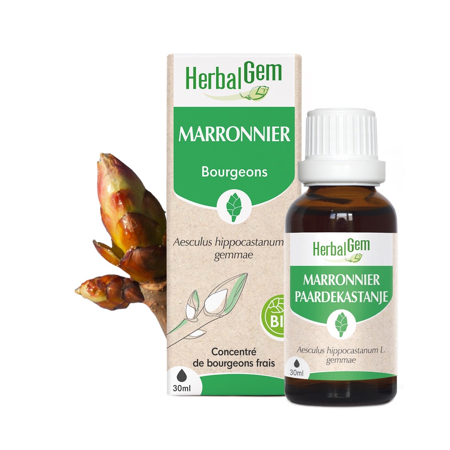 PAARDEKASTANJE - Bio - Bio