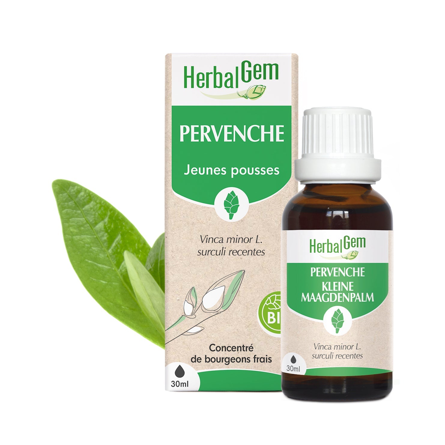 KLEINE MAAGDENPALM - Bio - Bio