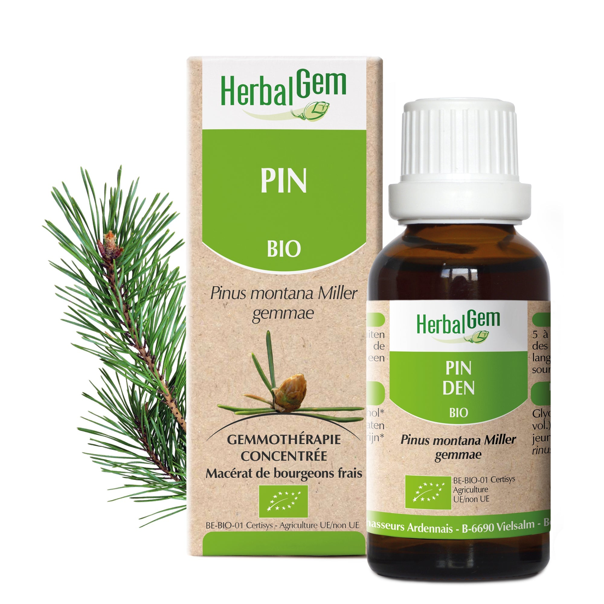 PIN DES MONTAGNES - Bio