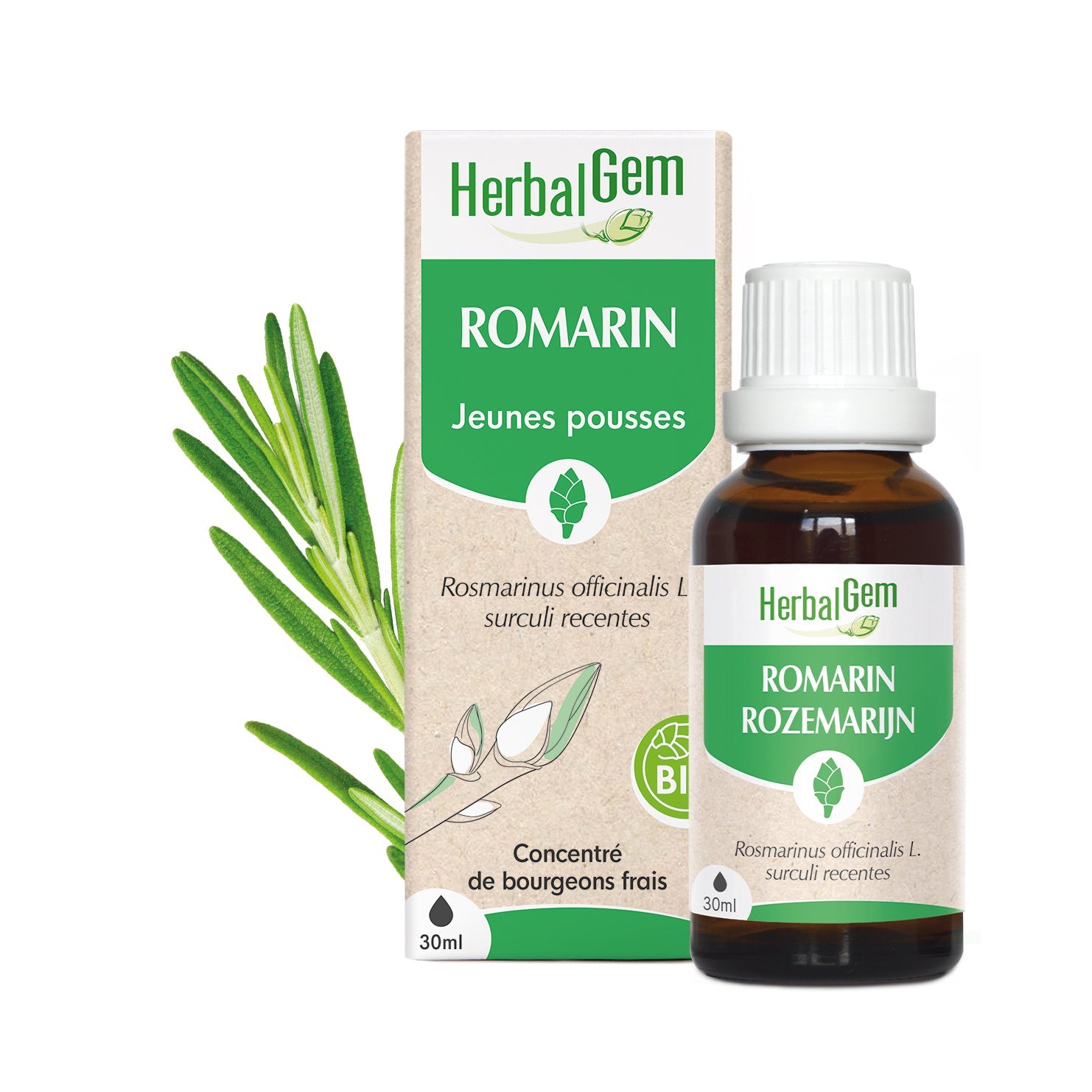 ROZEMARIJN - Bio - Bio