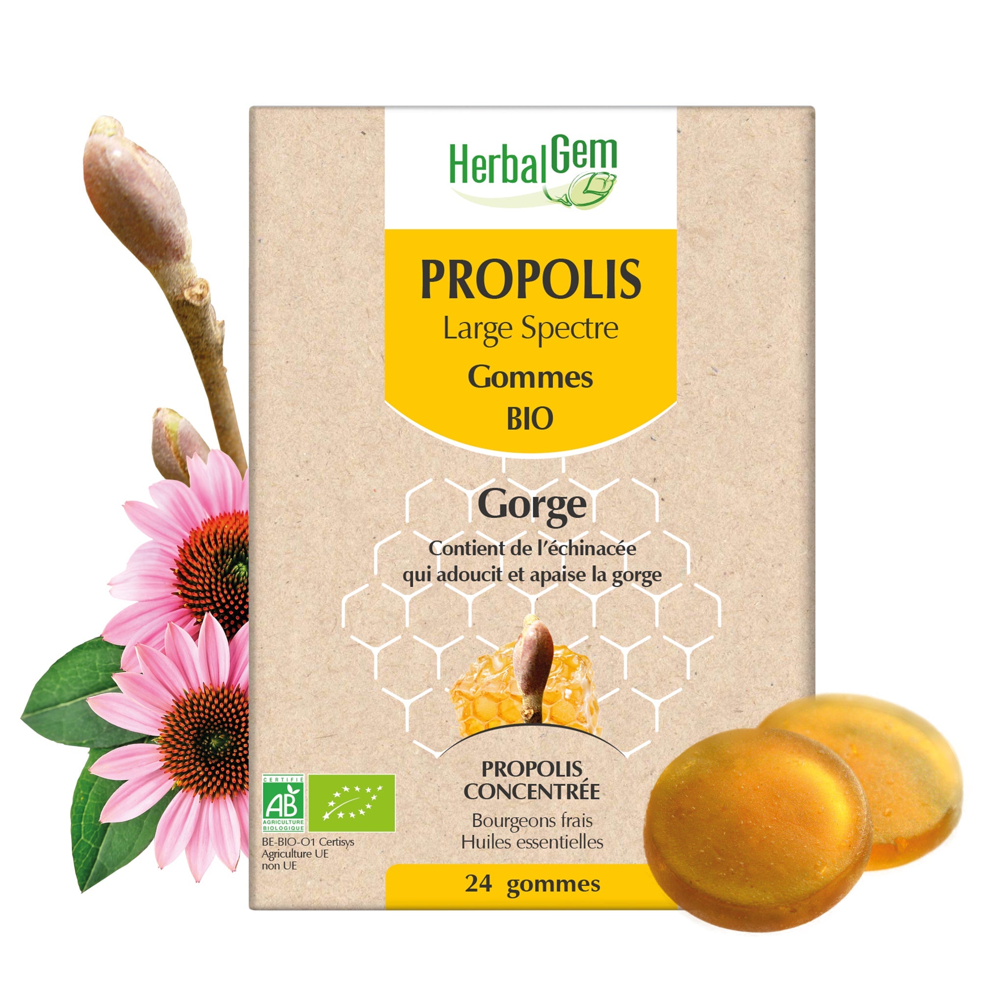 Propolis Groot Spectrum Gummies - Bio