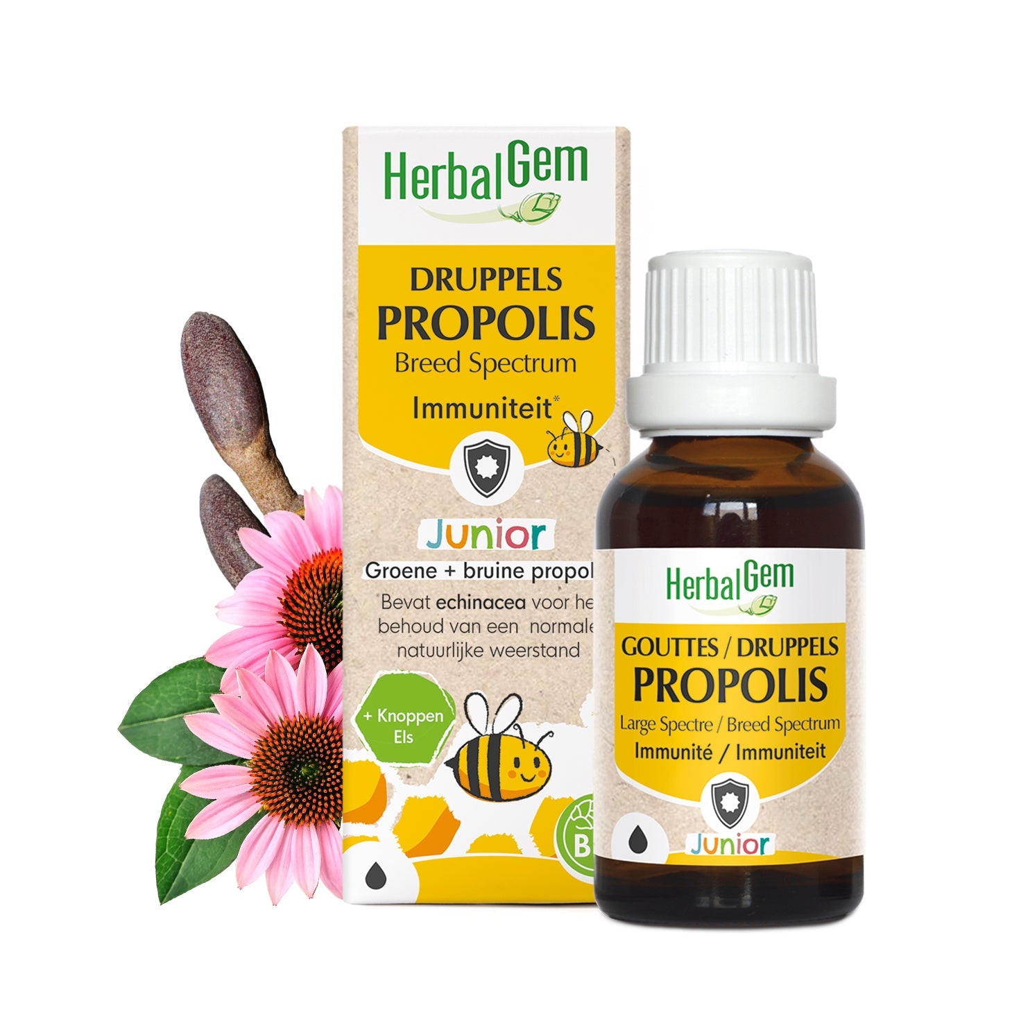 PROPOLIS JUNIOR - druppels - Bio - Bio
