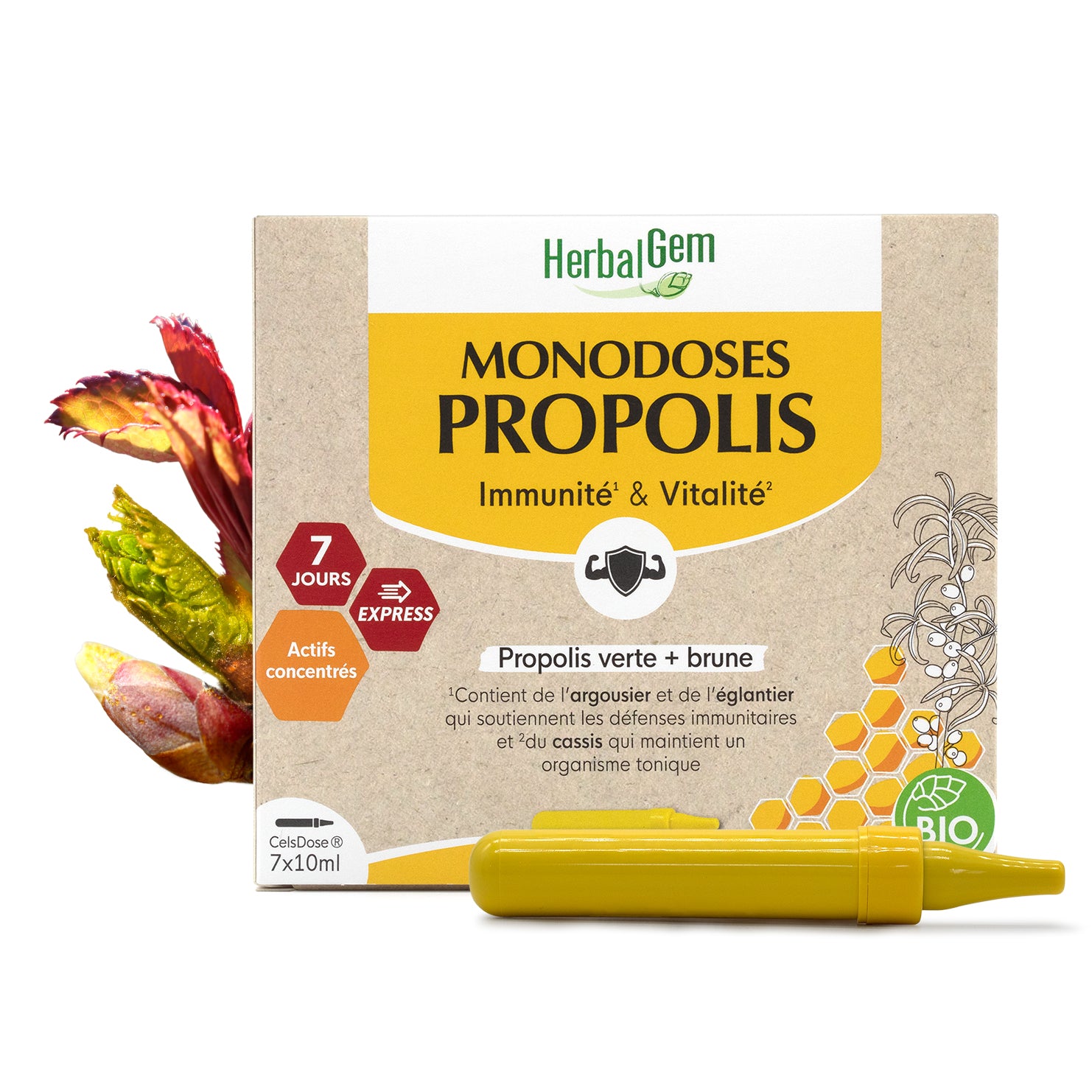 Propolis Express – solution liquide - Bio